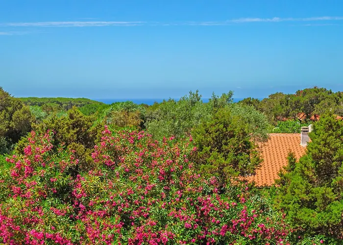 度假居 Mio & Tuyo Vacanze *